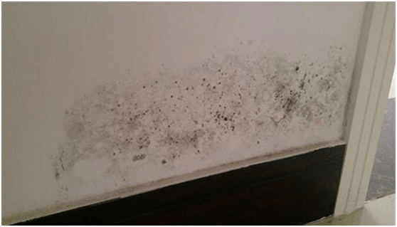 防水≠防潮,你分清楚了嗎? 防水≠防潮,你分清楚了嗎?